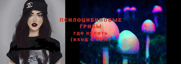 сатива Абинск