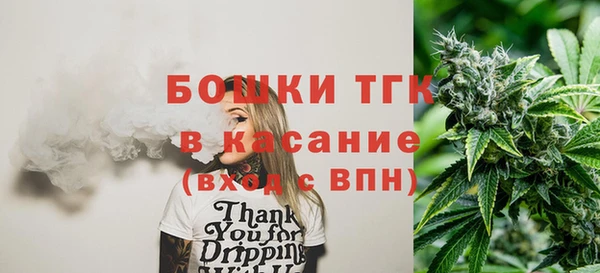 сатива Абинск