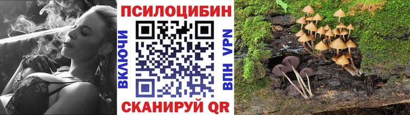 Псилоцибиновые грибы Psilocybine cubensis  продажа наркотиков  Партизанск 