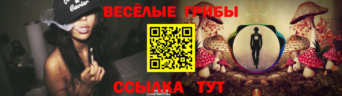 Галлюциногенные грибы прущие грибы Партизанск